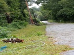 Storm damage fallen trees